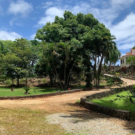 El Castillo Tropical Cabrera Extérieur photo